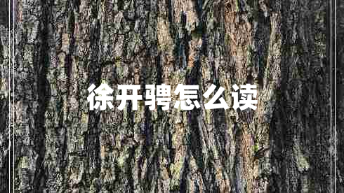 徐開騁怎么讀