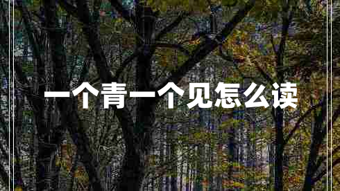 一個(gè)青一個(gè)見怎么讀