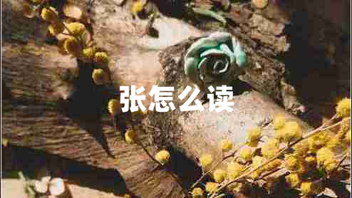 張?jiān)趺醋x