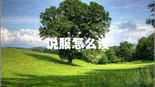 說服怎么讀