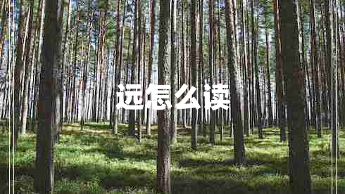 遠(yuǎn)怎么讀