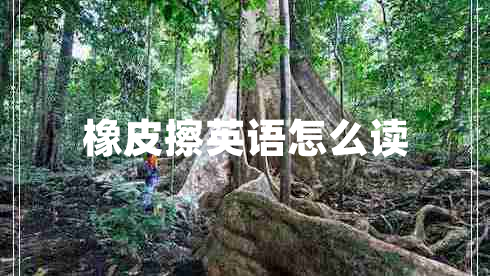 橡皮擦英語怎么讀