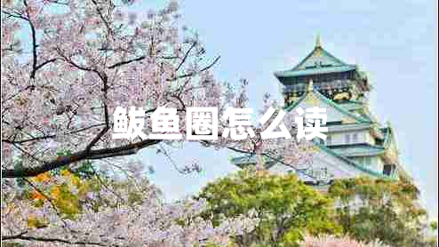 鲅魚圈怎么讀