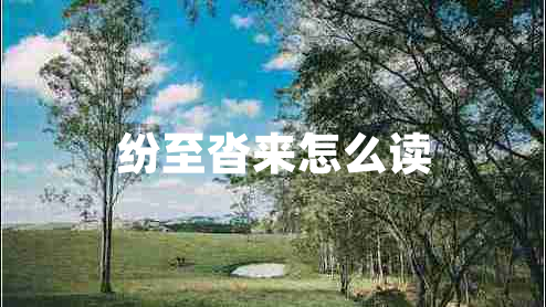 紛至沓來怎么讀