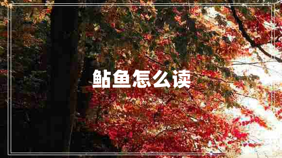 鲇魚怎么讀