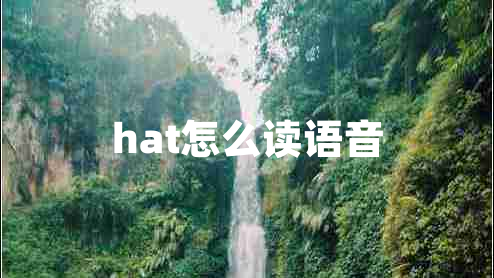 hat怎么讀語音