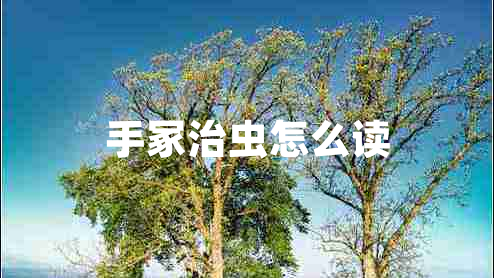 手冢治蟲(chóng)怎么讀