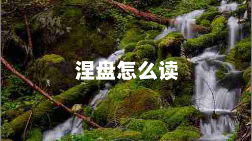 涅盤怎么讀