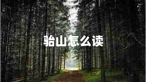 駘山怎么讀