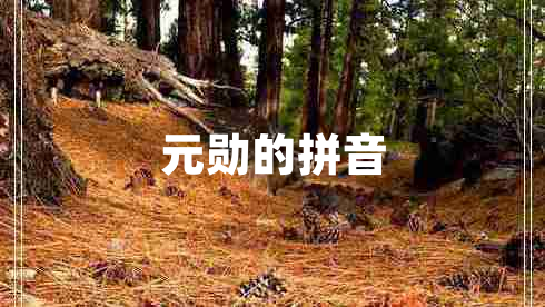 元勛的拼音