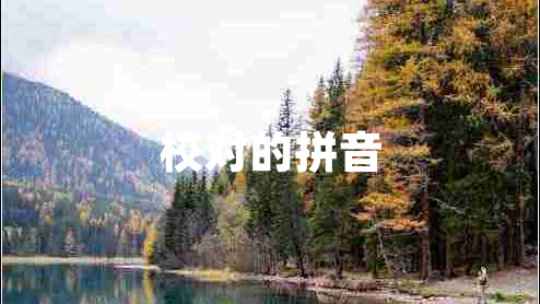 校對(duì)的拼音