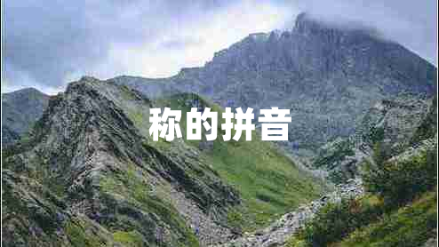 稱的拼音