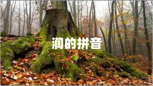 潤(rùn)的拼音