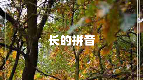 長的拼音