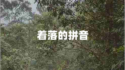 著落的拼音