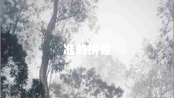 準(zhǔn)的拼音