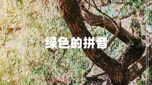 綠色的拼音