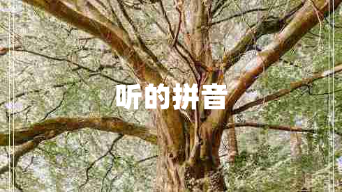 聽的拼音