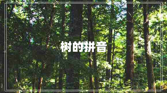 樹的拼音
