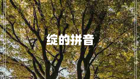 綻的拼音