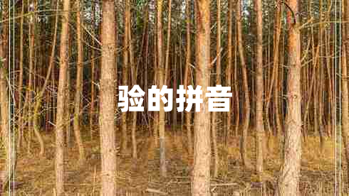 驗(yàn)的拼音