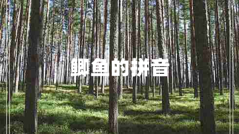鯽魚的拼音