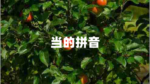 當(dāng)?shù)钠匆? title=