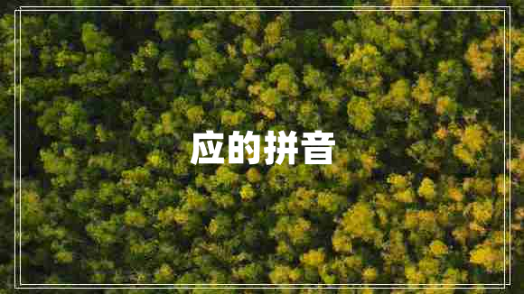應(yīng)的拼音