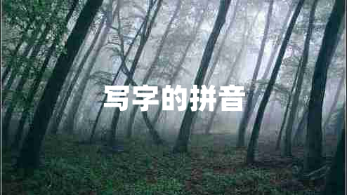 寫字的拼音