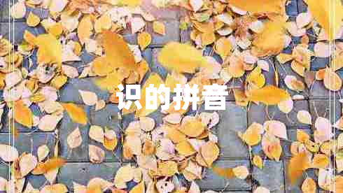 識(shí)的拼音