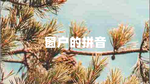 窗戶的拼音