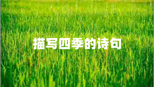 描寫四季的詩句