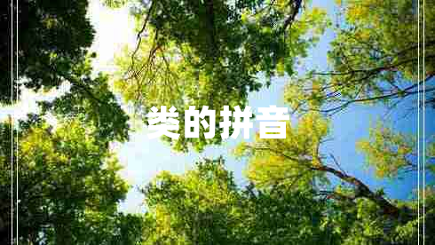 類的拼音
