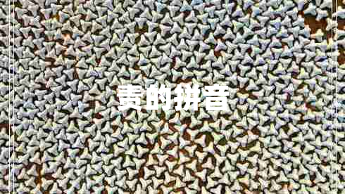 責(zé)的拼音