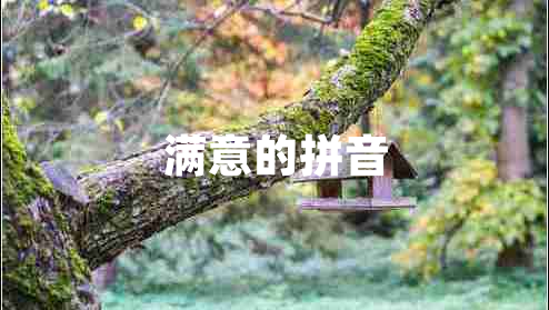 滿意的拼音