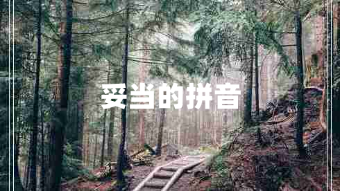 妥當(dāng)?shù)钠匆? title=