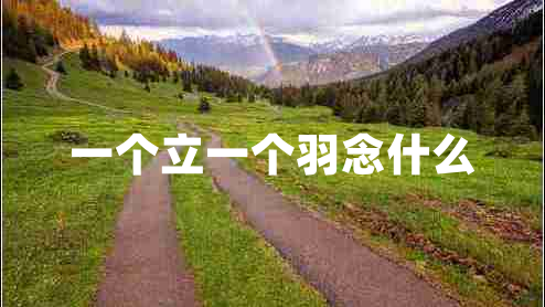 一個立一個羽念什么