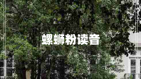 螺螄粉讀音
