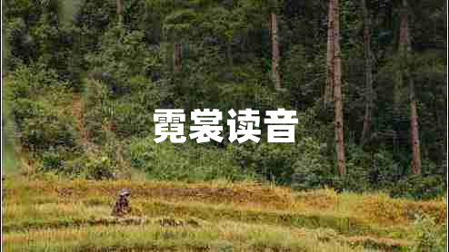 霓裳讀音
