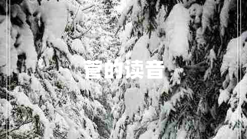 菅的讀音