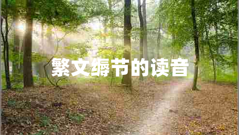 繁文縟節(jié)的讀音