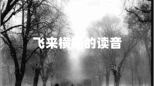 飛來橫禍的讀音