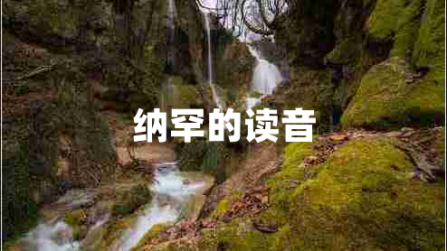 納罕的讀音
