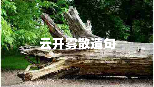 云開霧散造句