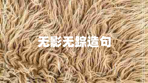 無影無蹤造句