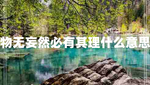 物無妄然必有其理什么意思