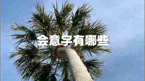會(huì)意字有哪些