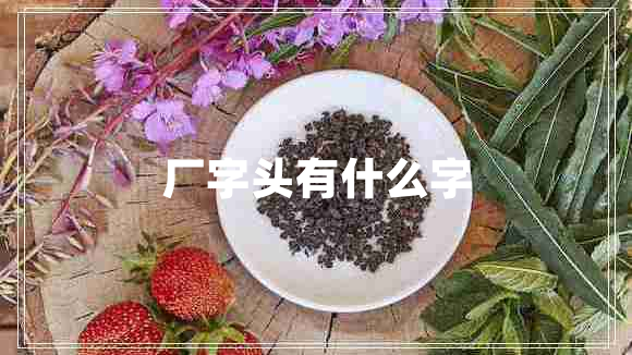 廠字頭有什么字