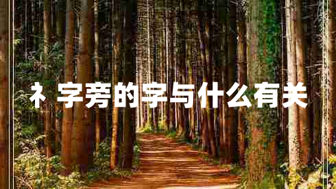 礻字旁的字與什么有關