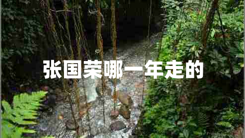 張國(guó)榮哪一年走的